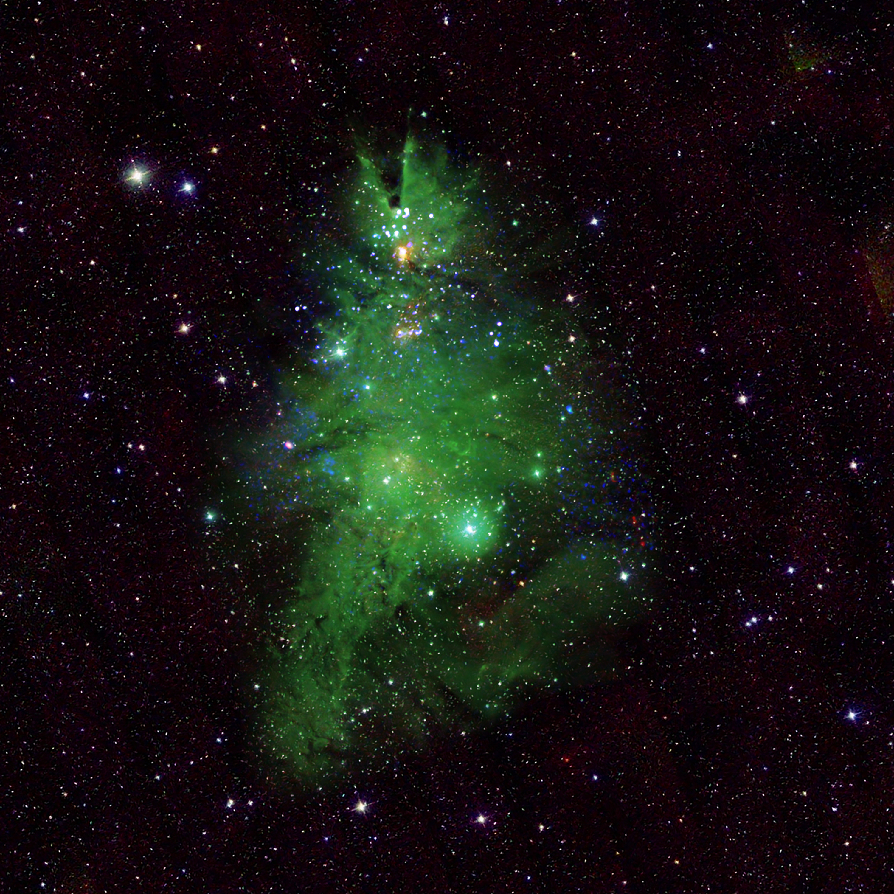 ngc2264_lg.jpg